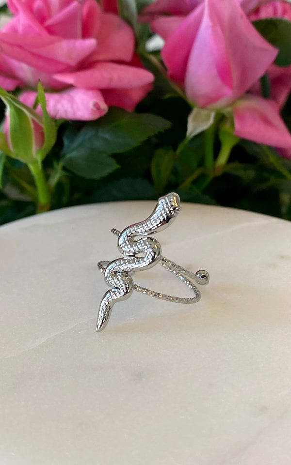 Bague serpent acier inoxydable argent "Honorine"